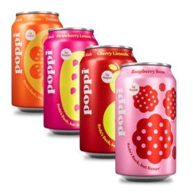 Sparkling Prebiotic Soda Beverage with Apple Cider Vinegar Seltzer Water and Fruit Juice Short List Variety Pack 12 Fl Oz Pack of 12 Packaging May Vary