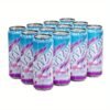 ARIZONA Frost Chillzicle, 22oz 12 pack Watermelon Punch, Natural, Cans